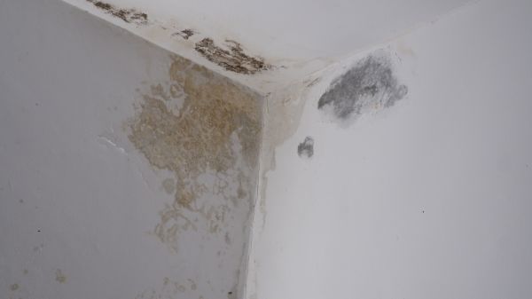 Basement Water Seepage Service