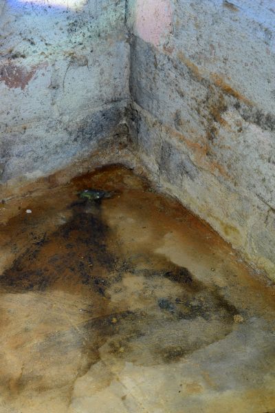 Basement Mold Prevention