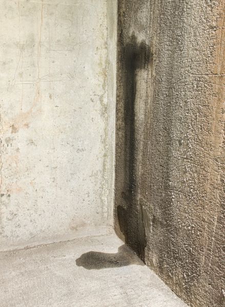 Basement Leak Detection